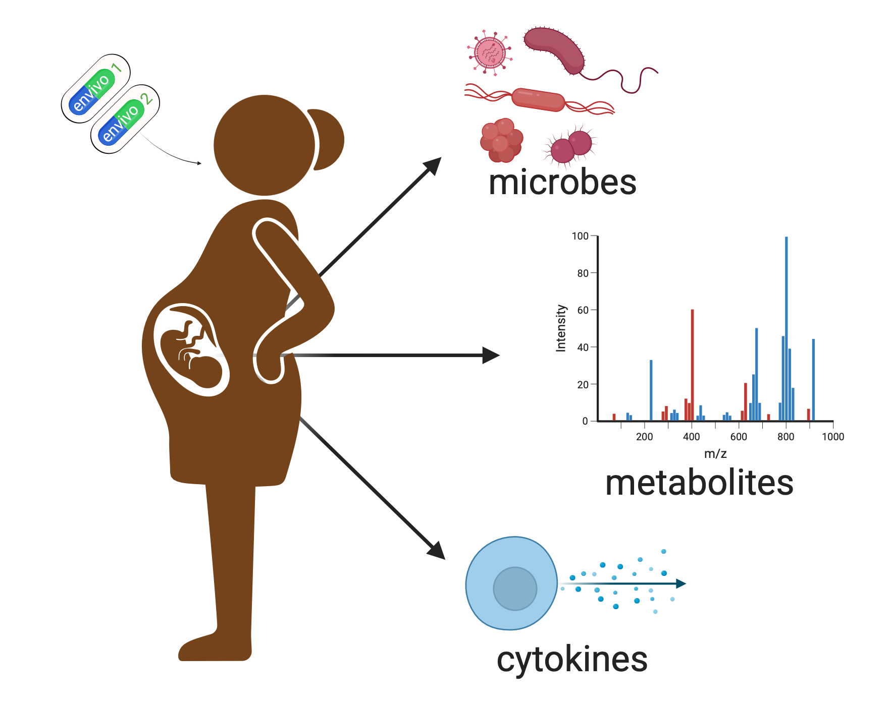 Immune project figure