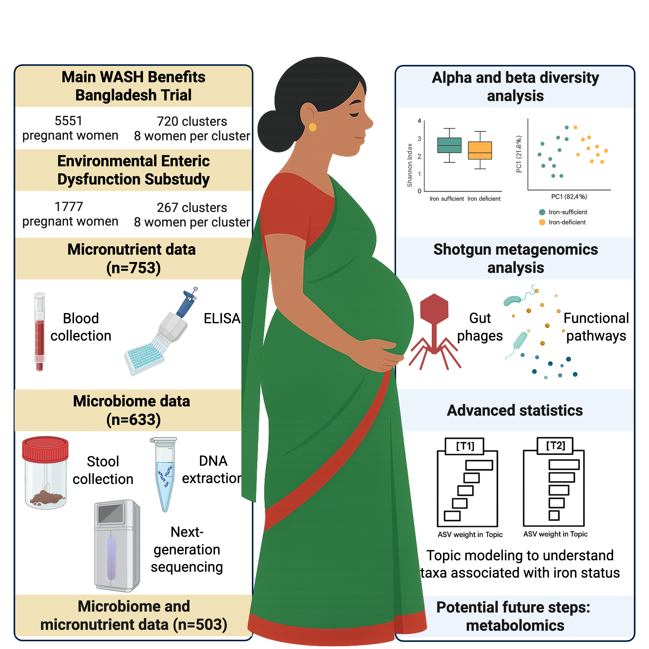 Maternal microbiome micronutrient figure